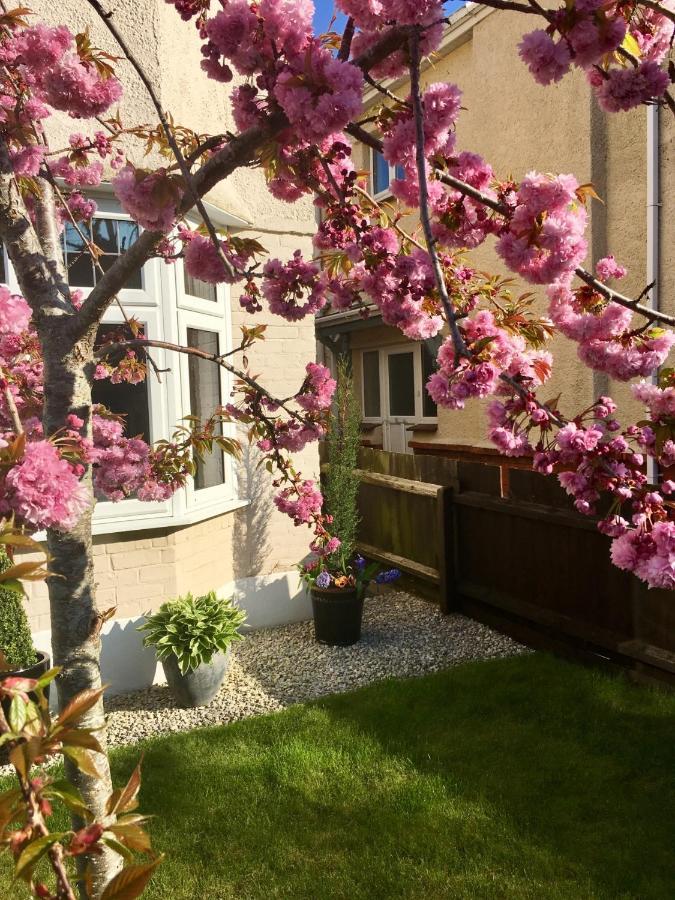 Bed and Breakfast Cherry Tree House Bournemouth Exterior foto
